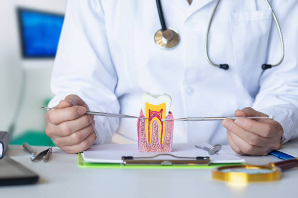 Best Emergency Dentist for Special Needs Patients in Chico, TX